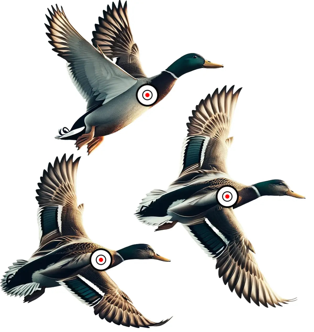 Animal Flying Ducks Target 45 - Printable Shooting Target