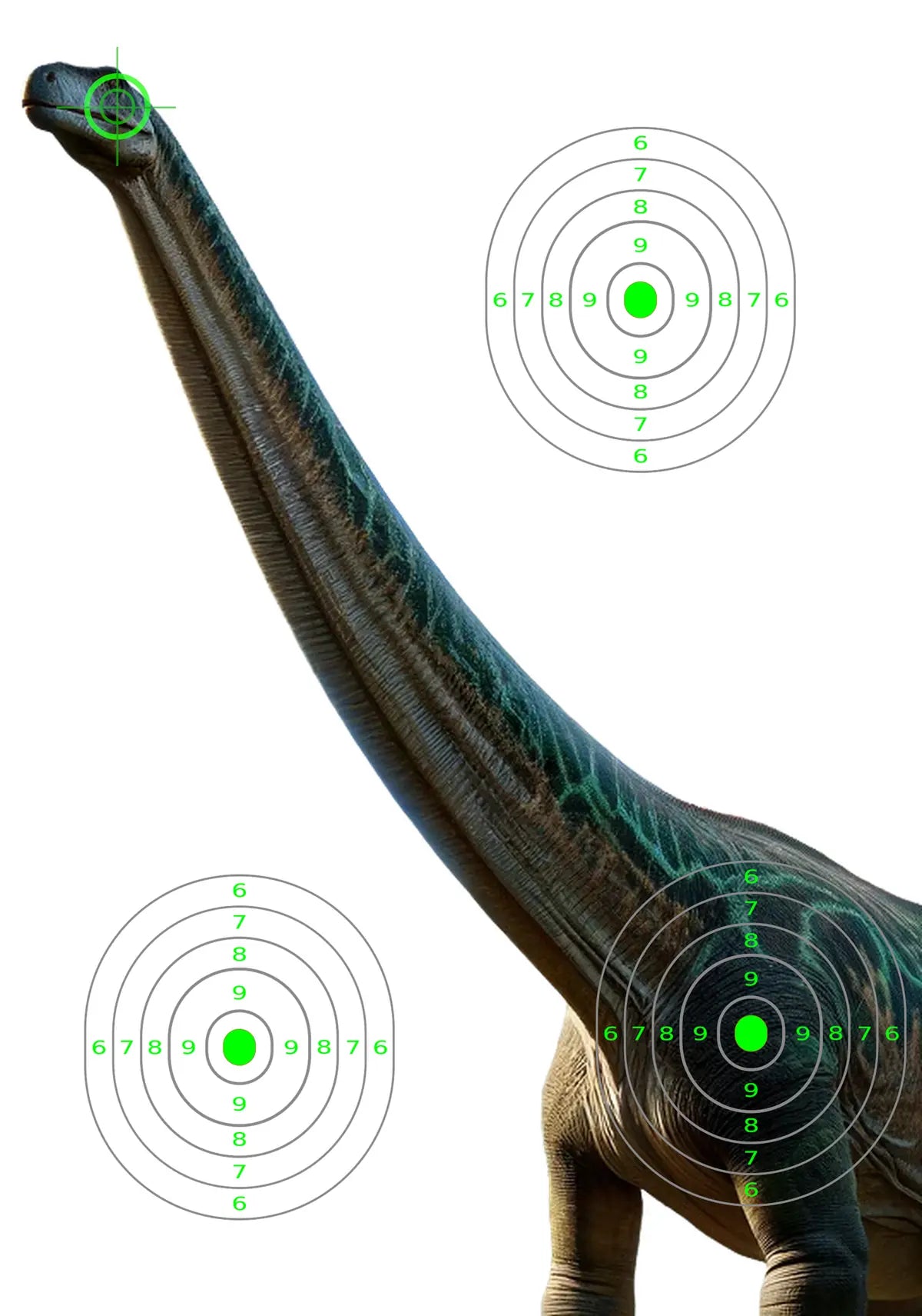 Dinosaur Diplodocus Target 20 - Printable Shooting Target