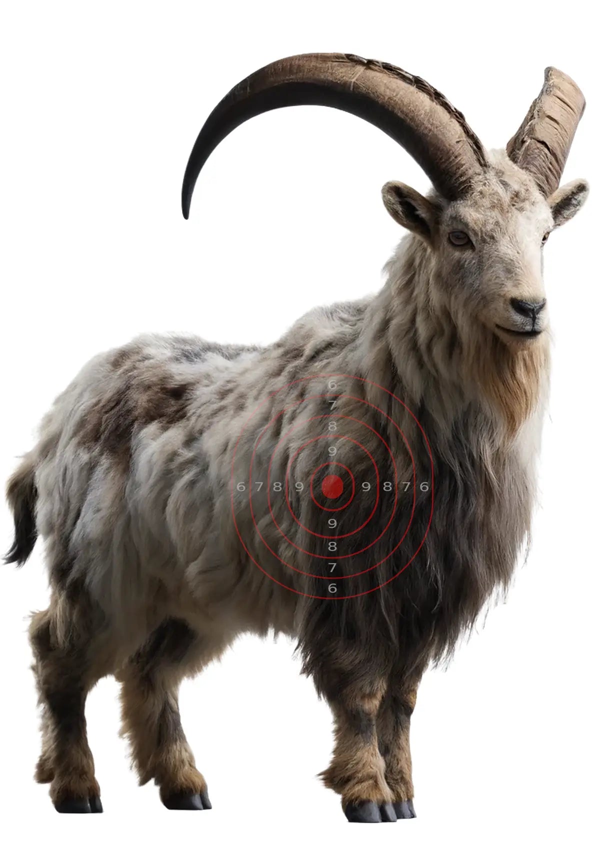 Outback Feral Gaot Target 31 - Printable Shooting Target