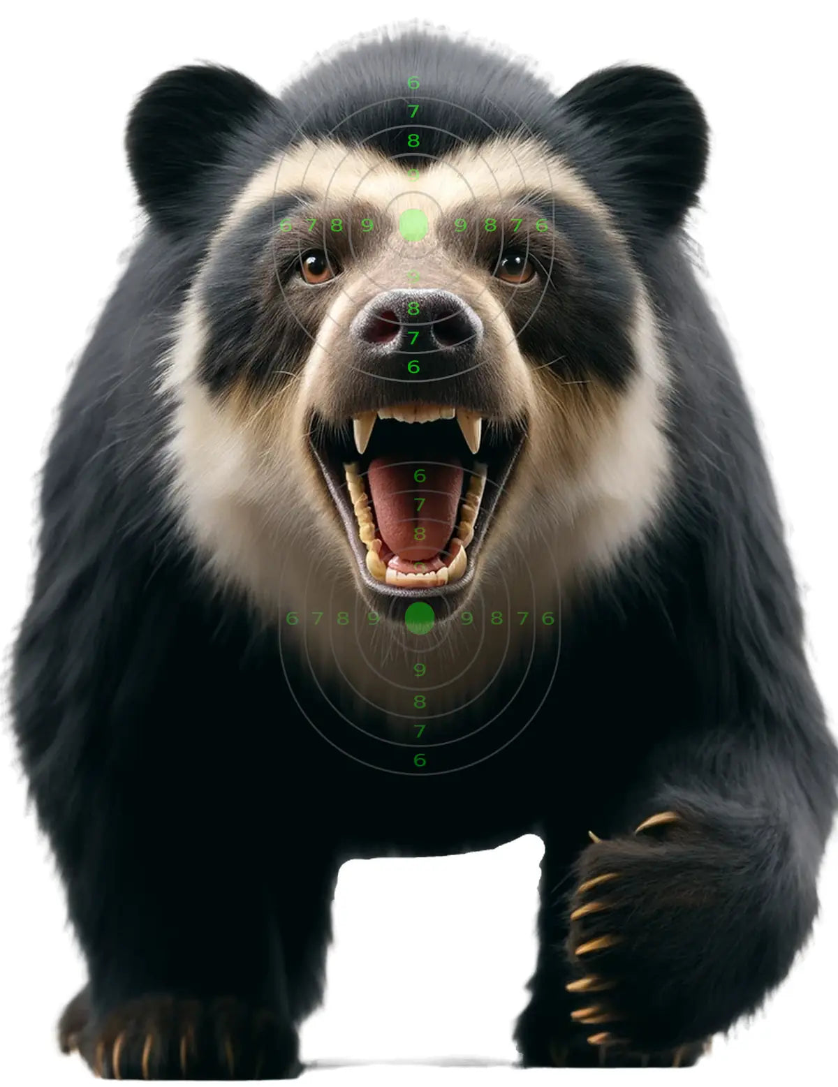 South American Spectacled Bear Target 3 - Printable Shooting Target