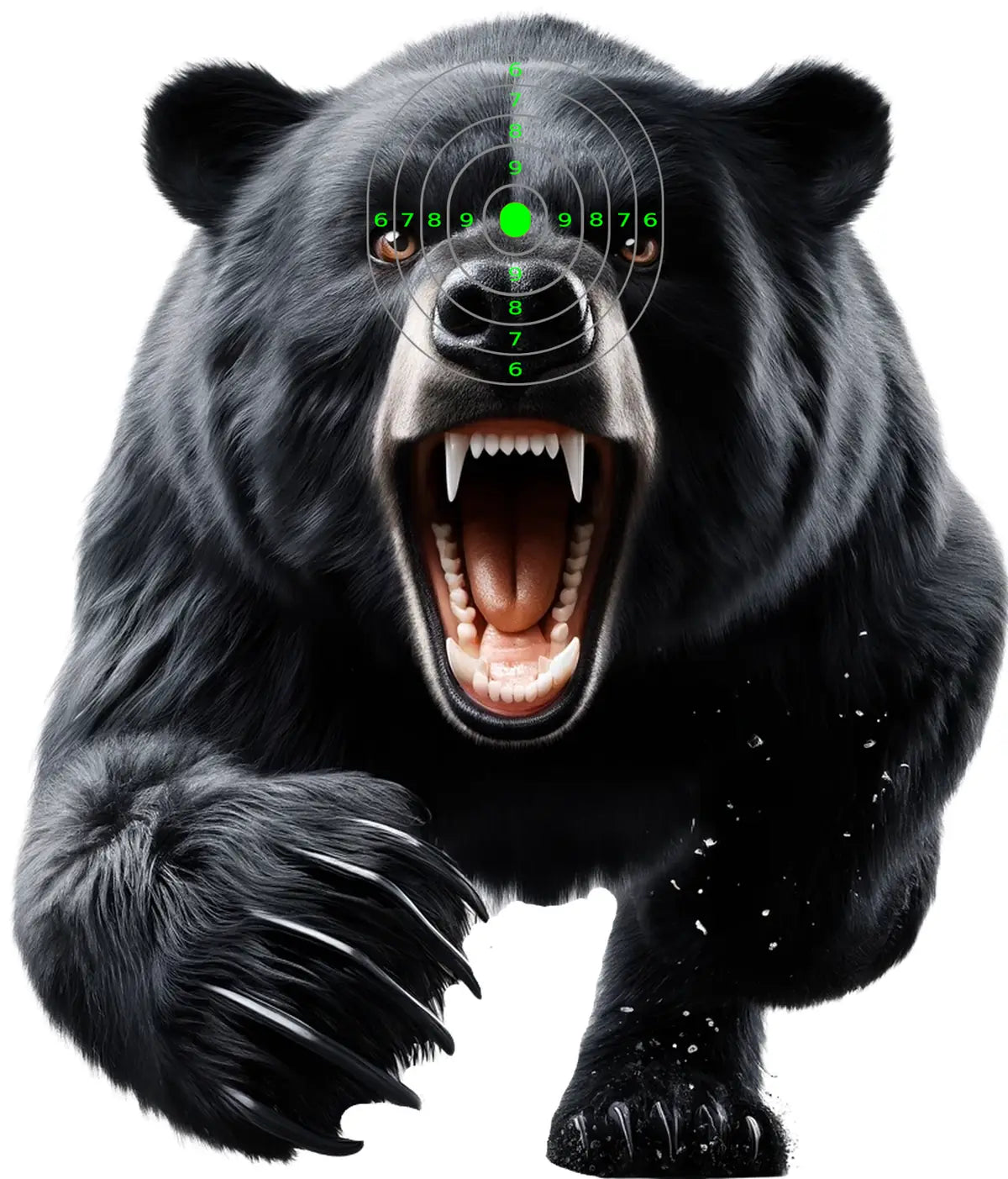 Animal Black Bear Target 46 - Printable Shooting Target