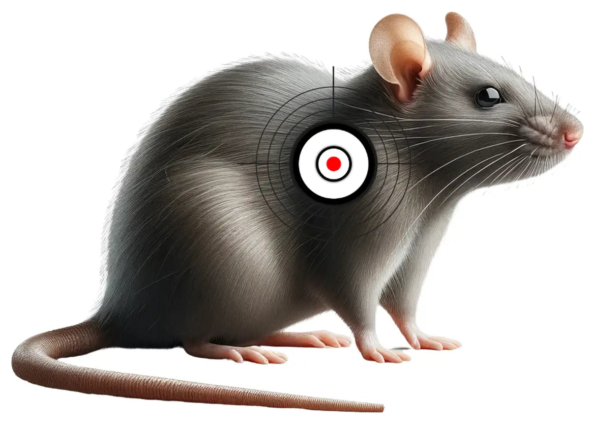 Animal Rat Target 26 - Printable Shooting Target