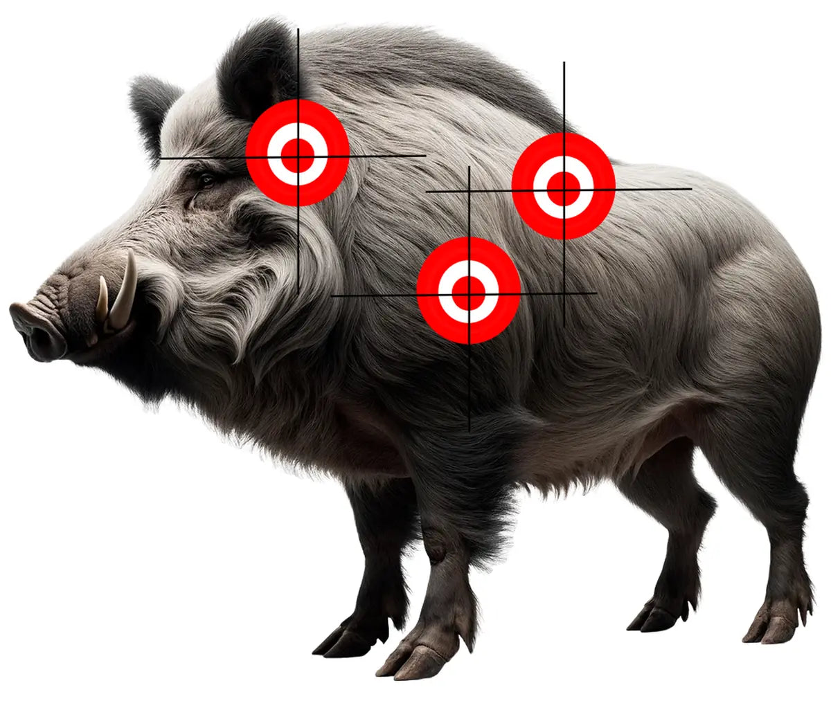 Animal Wild Boar Target 33 - Printable Shooting Target