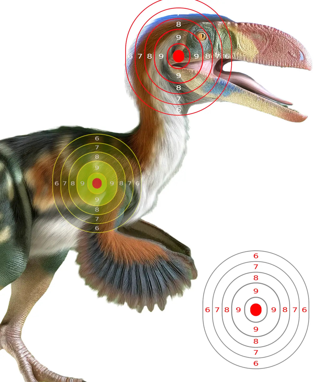 Dinosaur Oviraptor Target 33 - Printable Shooting Target