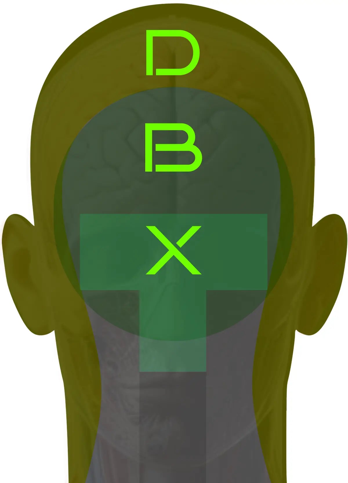 Headshot Target 28 - Printable Shooting Target