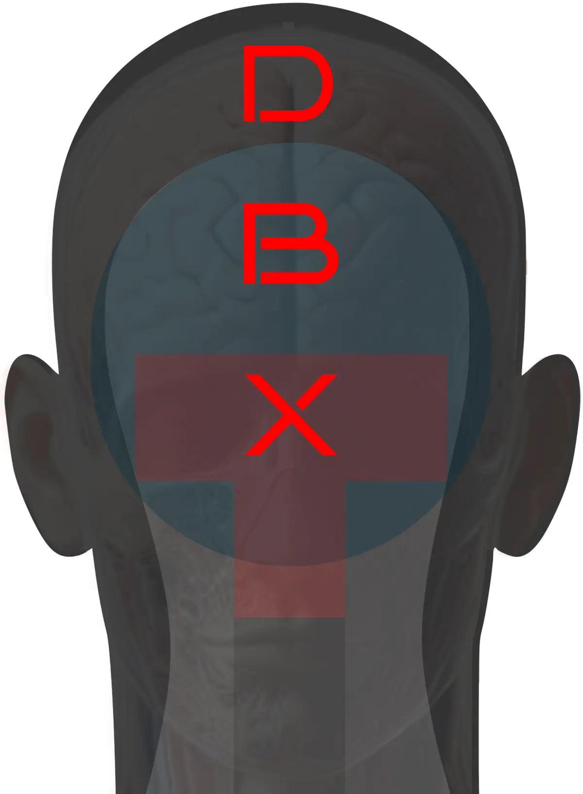 Headshot Target 37 - Printable Shooting Target