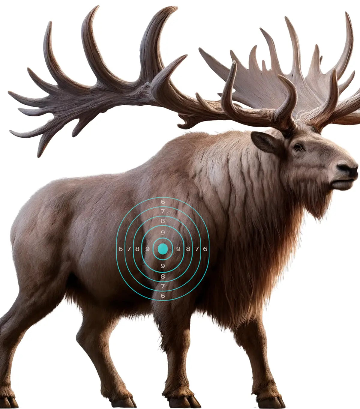 Ice Age Megaloceros Giant Deer Target 31 - Printable Shooting Target