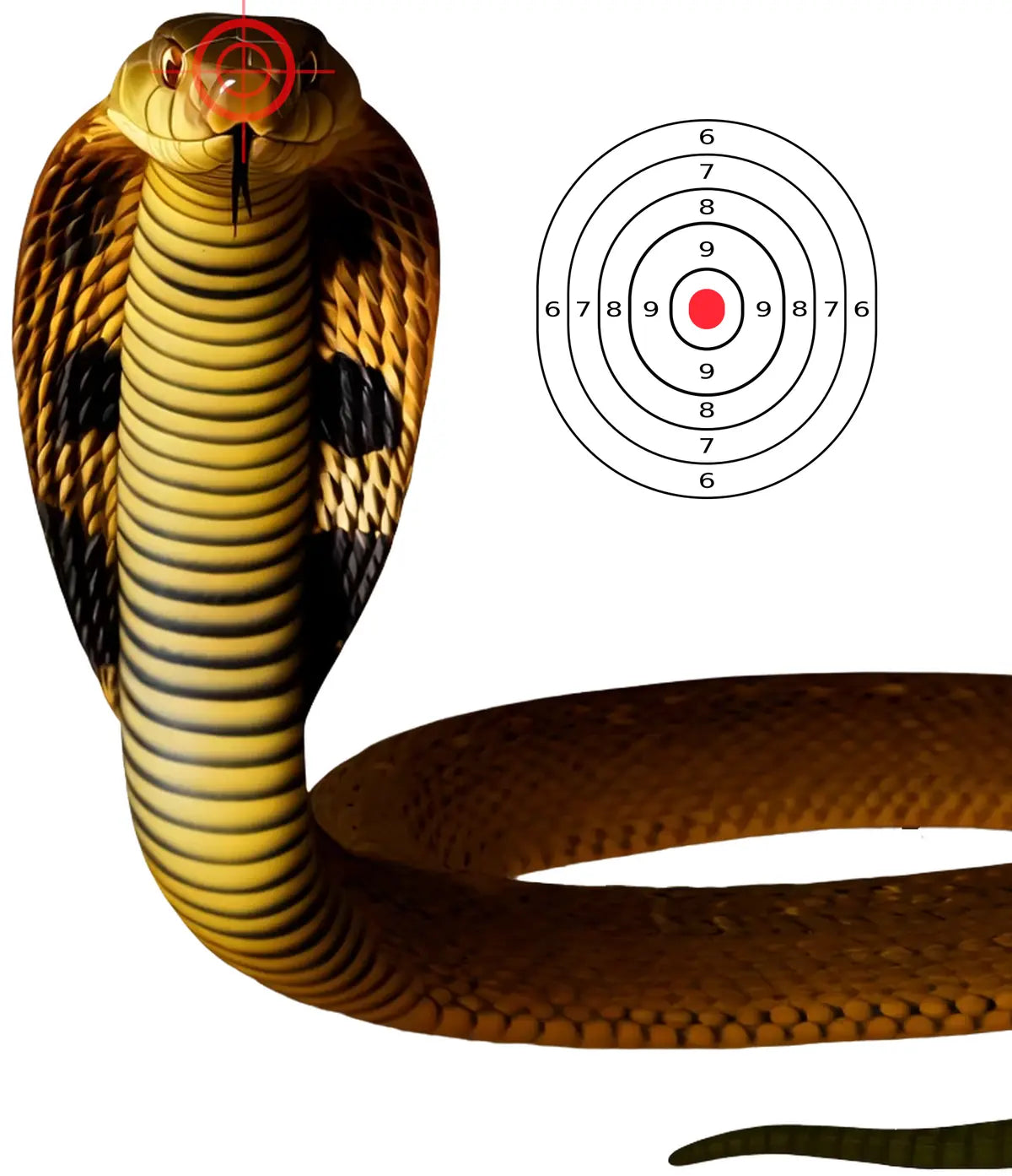 Indian Jungle Cobra Target 31 - Printable Shooting Target