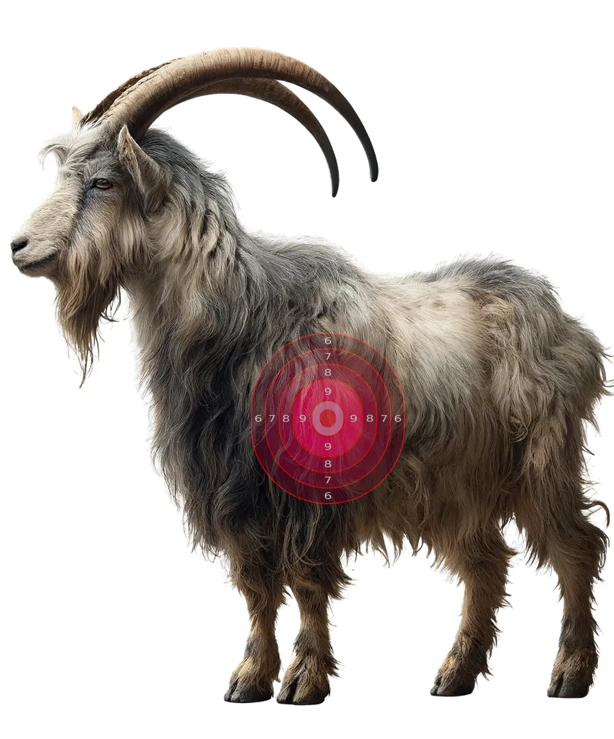 Outback Feral Goat Target 17 - Printable Shooting Target