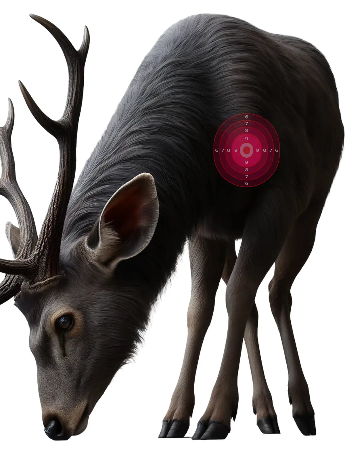 Outback Sambar Deer Target 43 - Printable Shooting Target