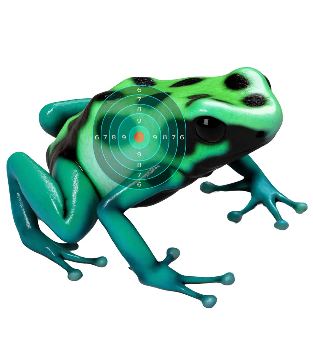 South American Poison Dart Frog Target 18 - Printable Shooting Target
