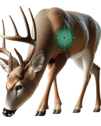 THE VAULT - Every Target We Make - Target Pack (694 Targets)