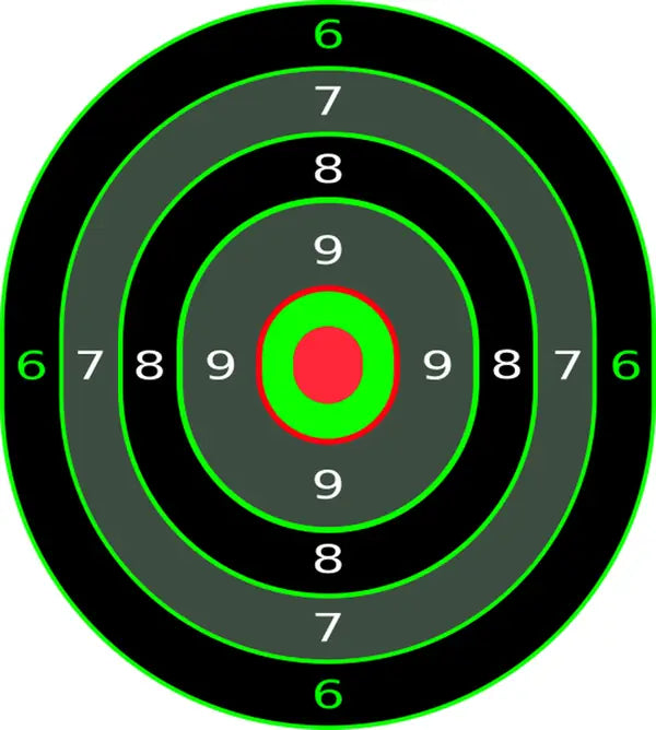 Bullseye Precision Collection (100 Targets)
